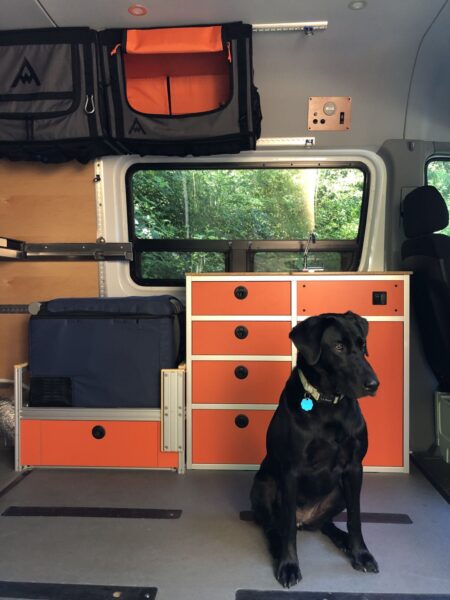 Inside a Sprinter van with bright orange cabinetry and a shiny black lab (dog)